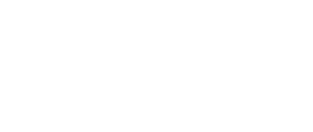 logo-LFELG-blanc