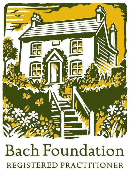 logo-bach-foundation